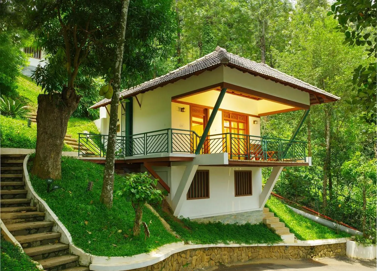 Forest Canopy Thekkady India