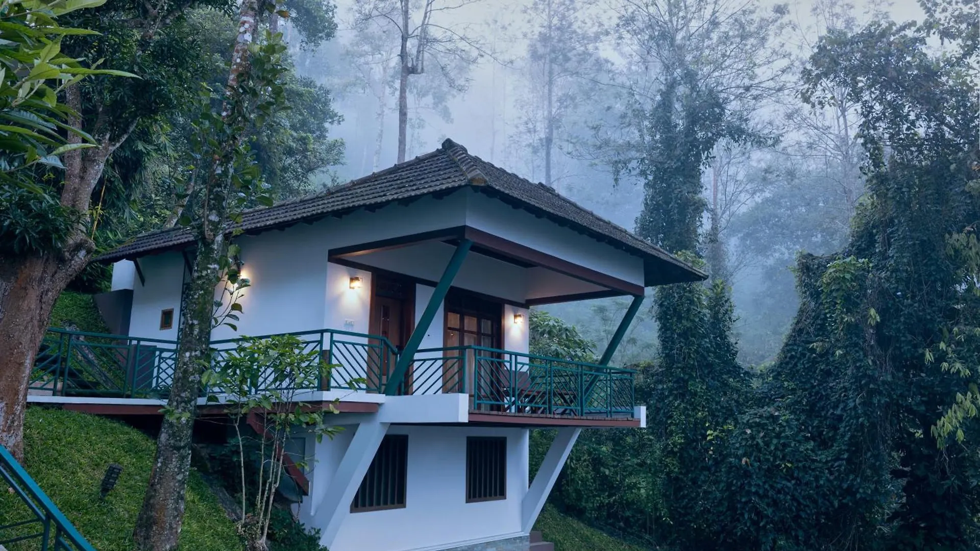 Forest Canopy Thekkady
